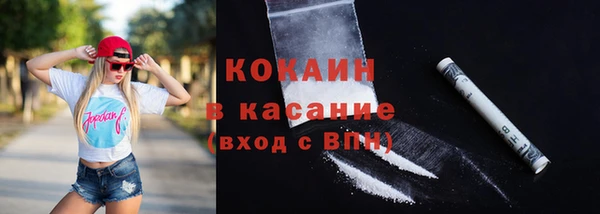 прущие грибы Богородицк
