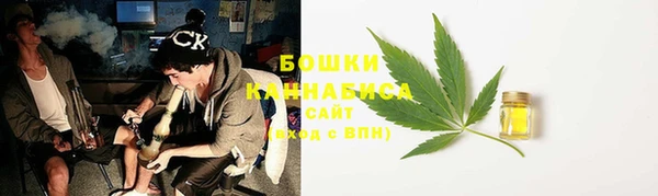 амф Богданович