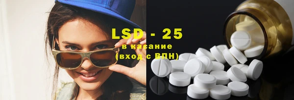 прущие грибы Богородицк