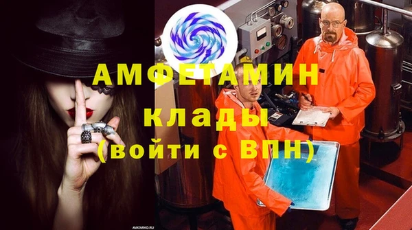 прущие грибы Богородицк