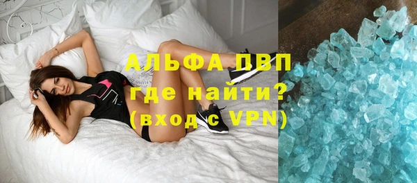 прущие грибы Богородицк