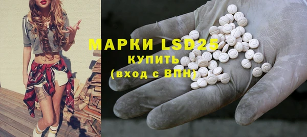 прущие грибы Богородицк