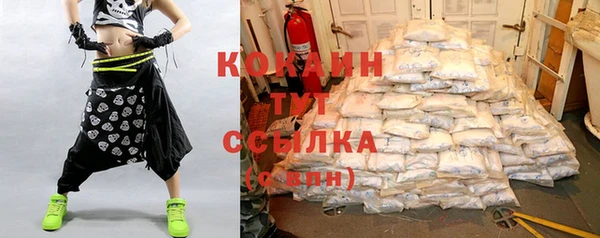 прущие грибы Богородицк
